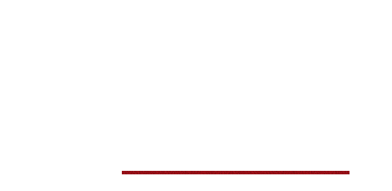 料理に合わせて選べる楽しさ