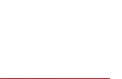 厳選国産牛の赤身肉