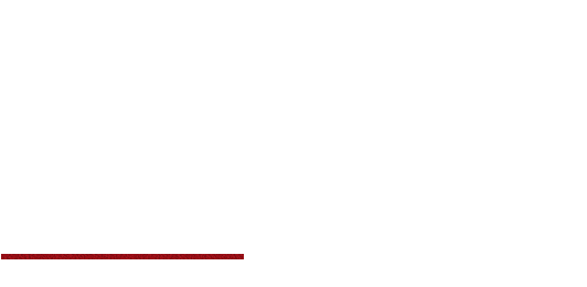 こんなにも食材の味がたのしめる