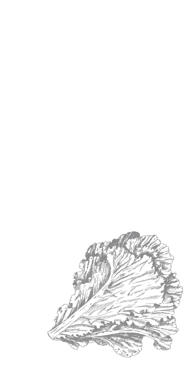 これはぜひ