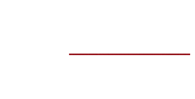 Barbeの煮込みハンバーグ